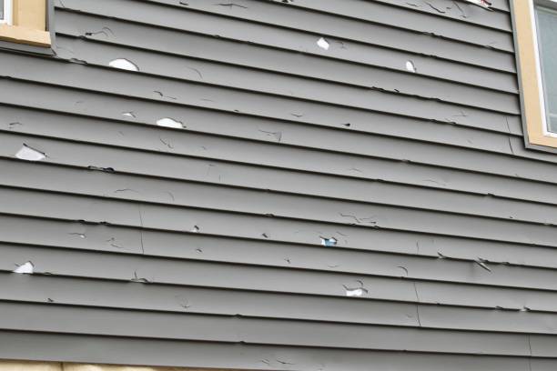 Affordable Siding Repair and Maintenance Services in Edmundson, MO